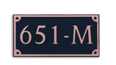 Model 651